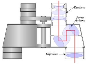 binocular cut out